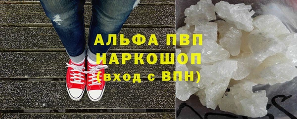 СК Мурманск
