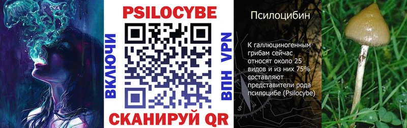 наркотики  Ахтубинск  Псилоцибиновые грибы ЛСД 